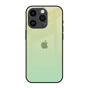 Mint Green Gradient Glass Case for iPhone 14 Pro Daily Carry