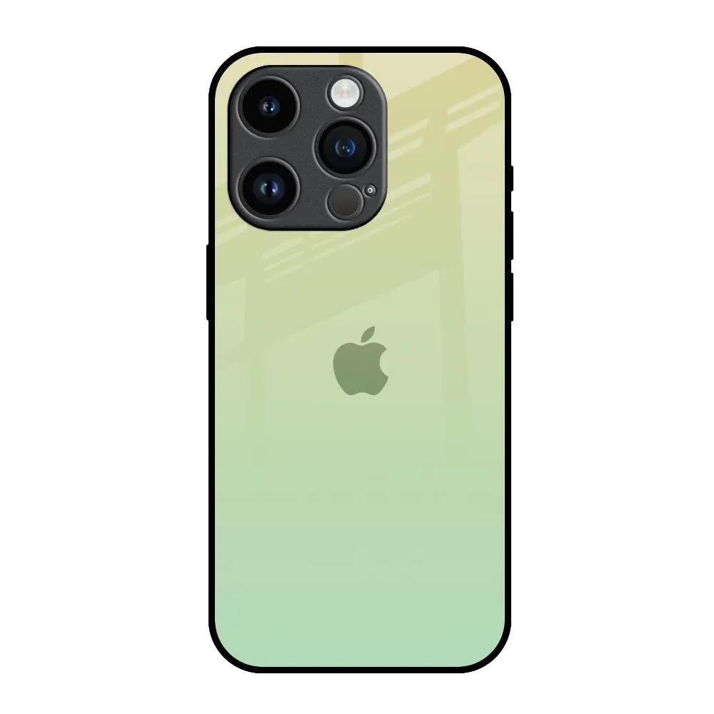 Mint Green Gradient Glass Case for iPhone 14 Pro Daily Carry