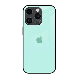 Teal Glass Case for iPhone 14 Pro Smooth Outline Strong Outline
